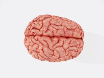 Illustration af hjernemasse