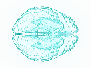 Illustration af hjerne